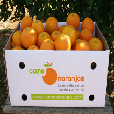 Naranjas de campo recolectadas en caja para envío