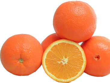 naranja navel fukumoto