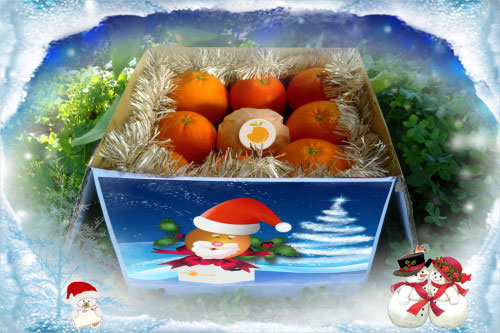 caja especial de naranjas para navidad