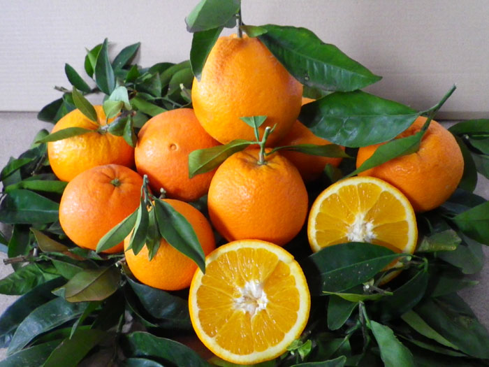 naranjas navelinas de comenaranjas