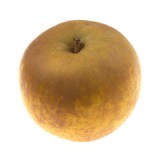 manzana-reineta-2