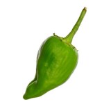 pimiento-padron