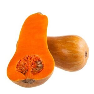 calabaza violin