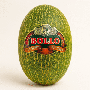 melon bollo
