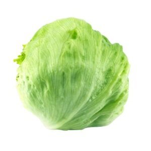 iceberg